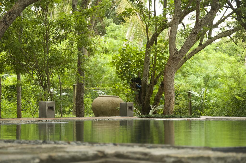 Lagoon House Rekawa Tangalle Exterior foto